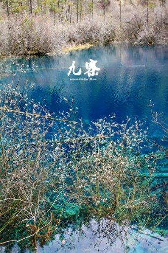 图片报：科曼膝盖内侧韧带撕裂，拜仁希望球员4月份回归