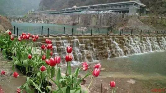 女朋友太矮父母强烈不同意 怎么办游戏画面
